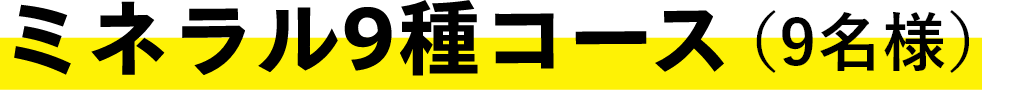 ミネラル9種コース(9名様)