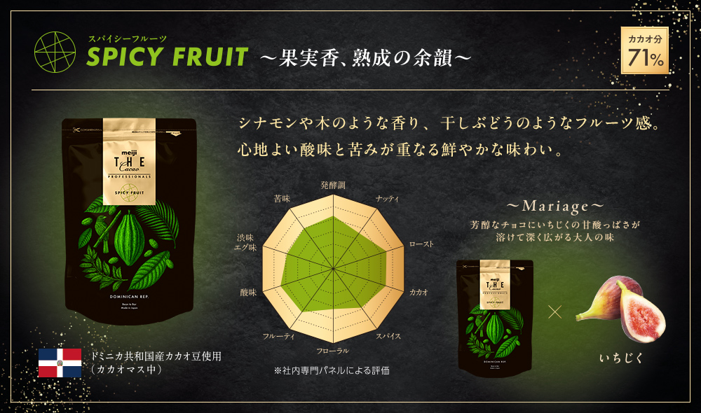 THE Cacao PROFESSIONALS スパイシーフルーツ