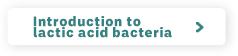 Introduction to lactic acid bacteria