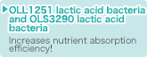 OLL1251 lactic acid bacteria and OLS3290 lactic acid bacteria