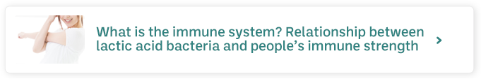 What is the immune system? Relationship between lactic acid bacteria and people’s immune strength