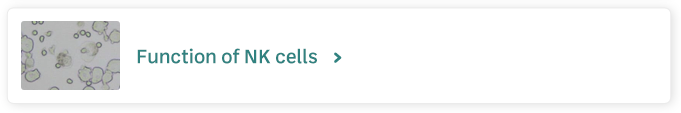 Function of NK cells