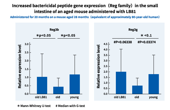 LB21投与による加齢マウス小腸における抗菌ペプチド(Regファミリー)遺伝子発現の上昇