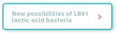 New possibilities of LB81 lactic acid bacteria