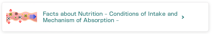 Facts about Nutrition – Conditions of Intake and Mechanism of Absorption –