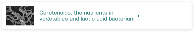 Carotenoids, the nutrients in vegetables and lactic acid bacterium