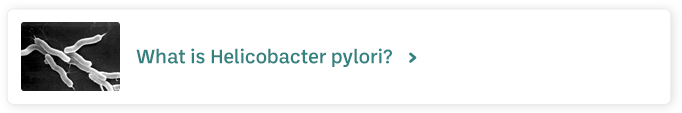 What is Helicobacter pylori?