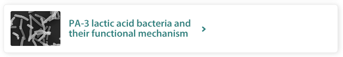 PA-3 lactic acid bacteria and their functional mechanism