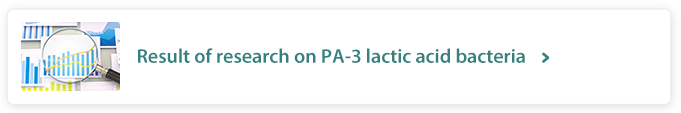Result of research on PA-3 lactic acid bacteria