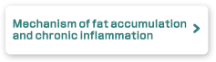 Mechanism of fat accumulation and chronic inflammation