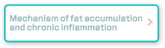 Mechanism of fat accumulation and chronic inflammation