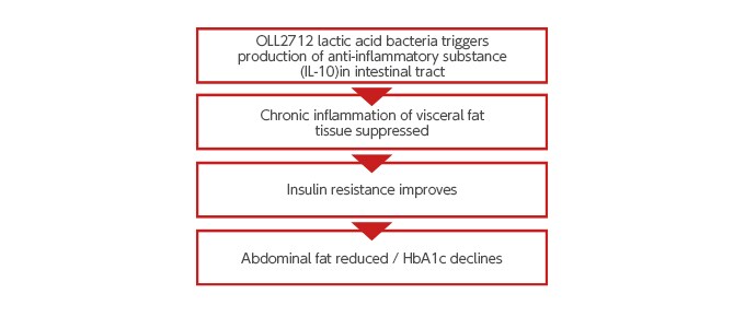 What are the effects and mechanism of action of OLL2712 lactic acid bacteria?