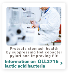 Protects stomach health by suppressing Helicobacter pylori and improving FD!Information on OLL2716 lactic acid bacteria