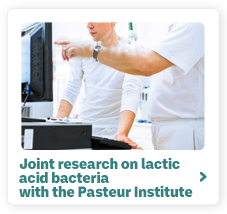 Joint research on lactic acid bacteria with the Pasteur Institute