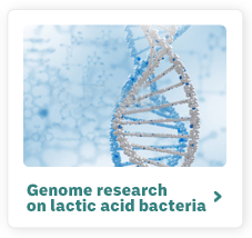 Genome research on lactic acid bacteria