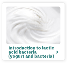 Introduction to lactic acid bacteria (yogurt and bacteria)