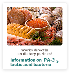 Works directly on dietary purines!
Information on PA-3 lactic acid bacteria