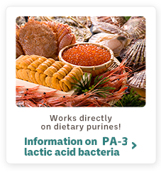 Works directly on dietary purines!
Information on PA-3 lactic acid bacteria