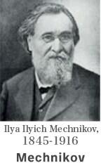 Mechnikov