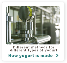 Different methods for different types of yogurt How yogurt is made