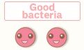 Good bacteria