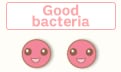 Good bacteria