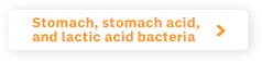 Stomach, stomach acid, and lactic acid bacteria