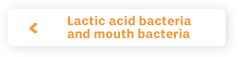 Lactic acid bacteria and mouth bacteria