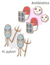 Antibiotics　H. pylori