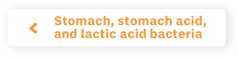 Stomach, stomach acid, and lactic acid bacteria