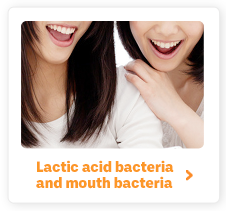 Lactic acid bacteria and mouth bacteria