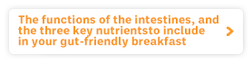 The functions of the intestines, and the three key nutrients to include in your gut-friendly breakfast