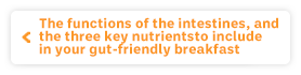 The functions of the intestines, and the three key nutrients to include in your gut-friendly breakfast