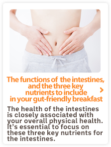 TThe health of the intestines is closely associated with your overall physical health.
It’s essential to focus on these three key nutrients for the intestines.