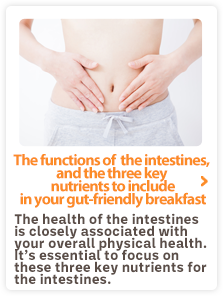 TThe health of the intestines is closely associated with your overall physical health.
It’s essential to focus on these three key nutrients for the intestines.