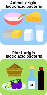 Animal-origin lactic acid bacteria Plant-origin lactic acid bacteria