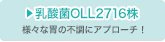 乳酸菌OLL2716株