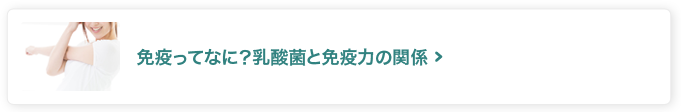 免疫ってなに？乳酸菌と免疫力の関係