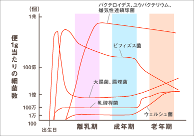 便1g当たりの細菌数