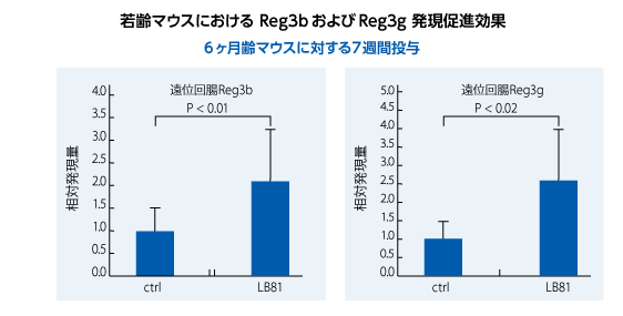 若齢マウスにおける Reg3b および reg3g 発現促進効果