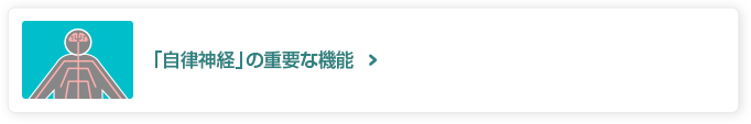 「自律神経」の重要な機能