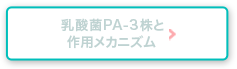 乳酸菌PA-3株の作用とメカニズム