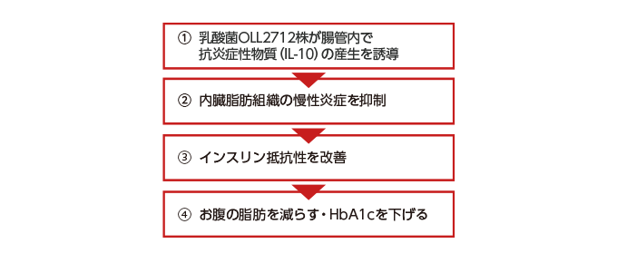 乳酸菌OLL2712株の作用とメカニズムとは