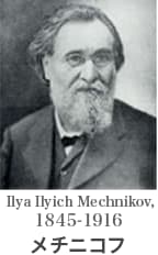 メチニコフ