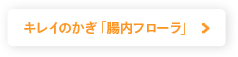 キレイのかぎ「腸内フローラ」