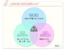 人間の体に溜まる毒素とは？