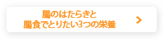 腸のはたらきと腸食でとりたい3つの栄養