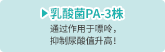 乳酸菌 PA-3株