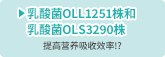乳酸菌OLL1251株和乳酸菌OLS3290株