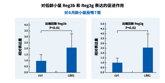 若齢マウスにおける Reg3b および reg3g 発現促進効果